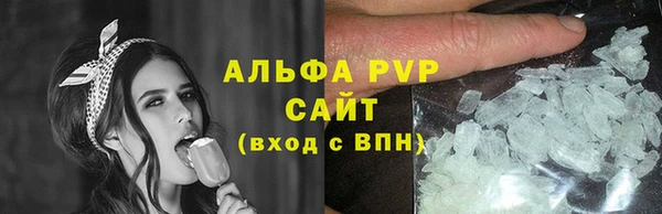 apvp Алзамай