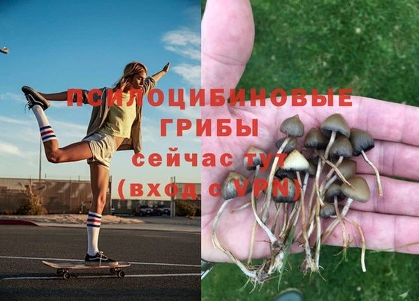 бутик Алексеевка